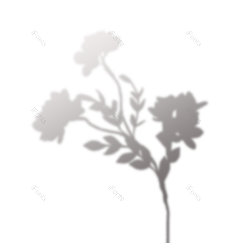 叶子图片,树叶元素,阴影PNG,阳光免抠素材